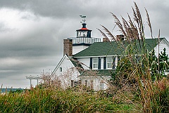 Nayatt Point Lighthouse Among Tall Grass